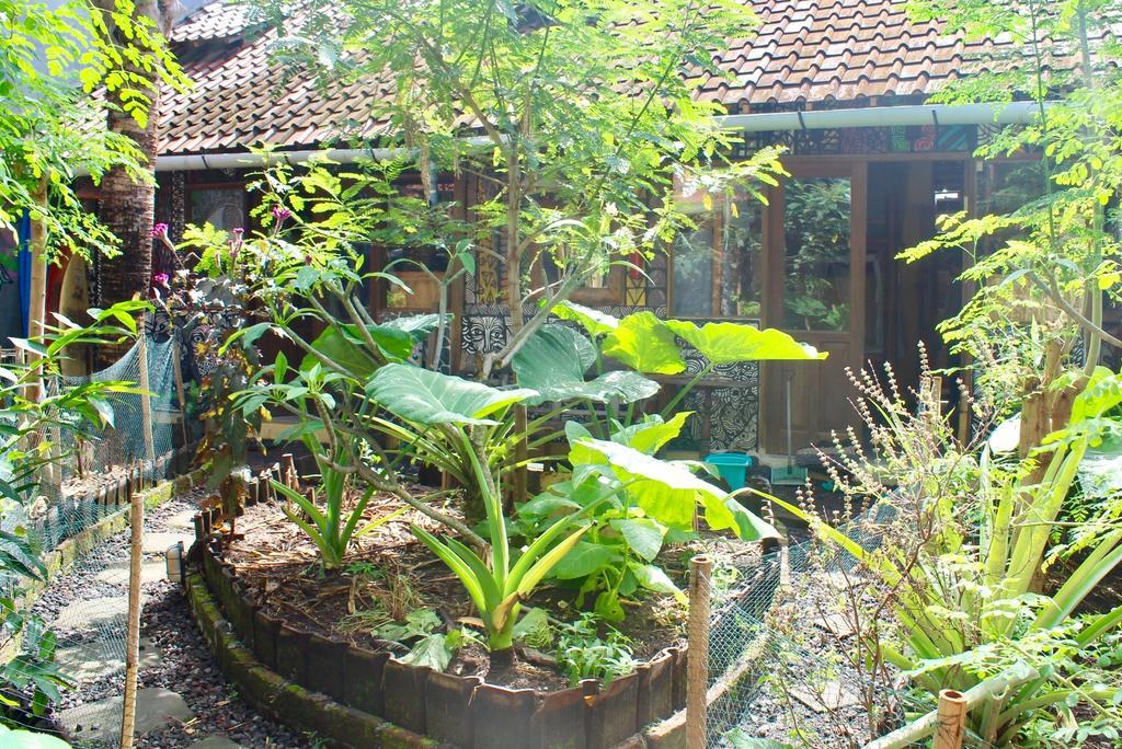 Farmer'S Yard Hostel Canggu Buitenkant foto